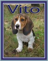 vito